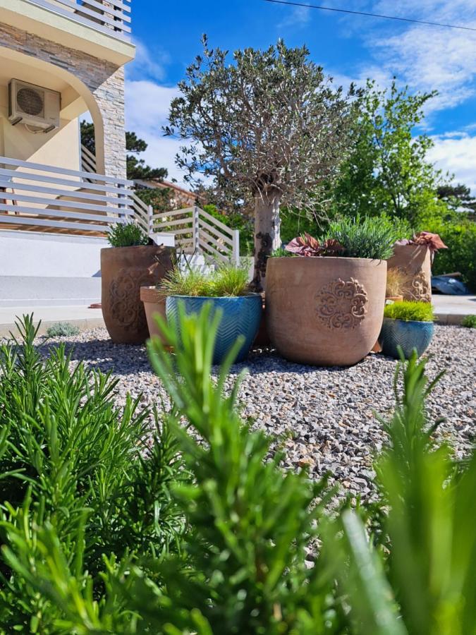 Vila Aria - Health & Wellness App Novi Vinodolski Εξωτερικό φωτογραφία